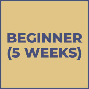 Beginning (5 weeks: FEB-MAR, 2024)